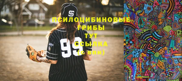 спайс Бородино