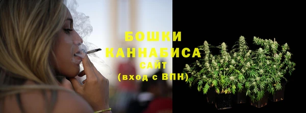 гидра Бугульма