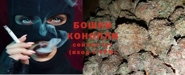 спайс Бородино