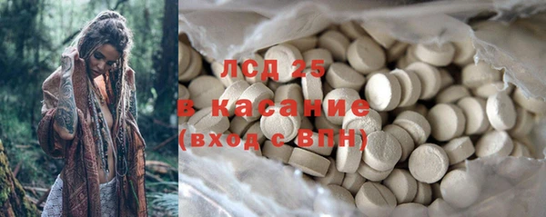 спайс Бородино