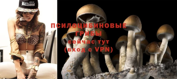 спайс Бородино