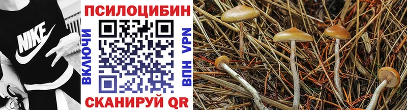 Галлюциногенные грибы GOLDEN TEACHER  MEGA зеркало  Нурлат 